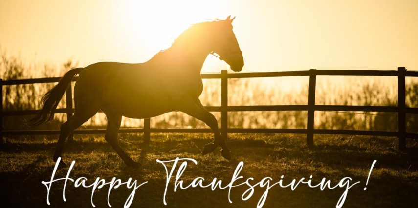horse-thanksgiving-sunset